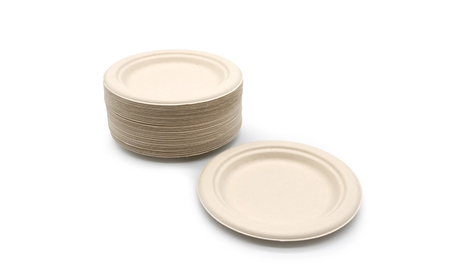 compostable thanksgiving plates