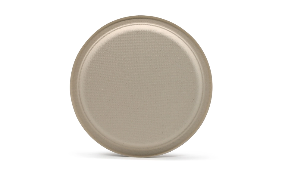 eco friendly plates disposable