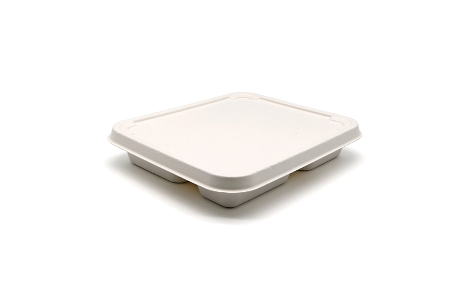 compartment food trays with lids