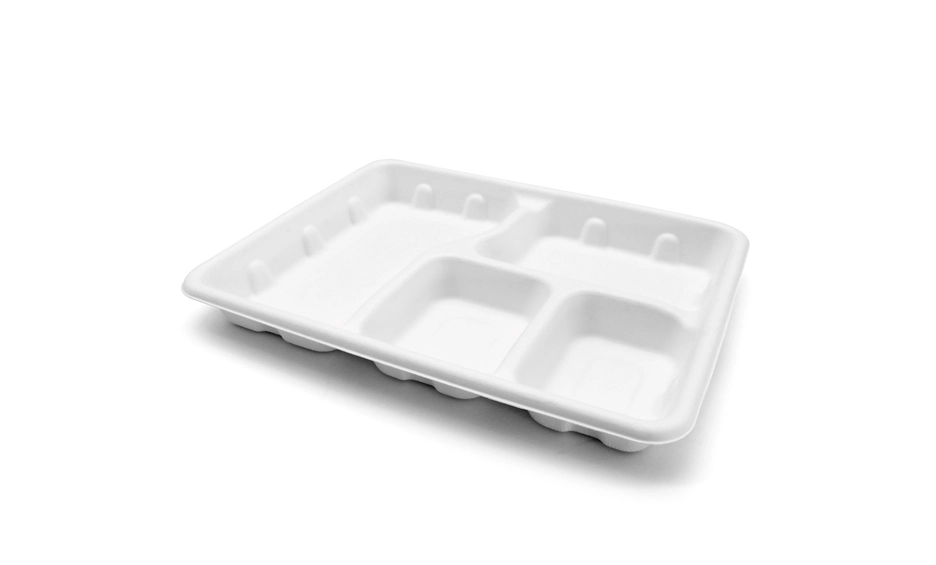biodegradable meal tray
