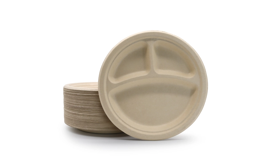 disposable bagasse plates
