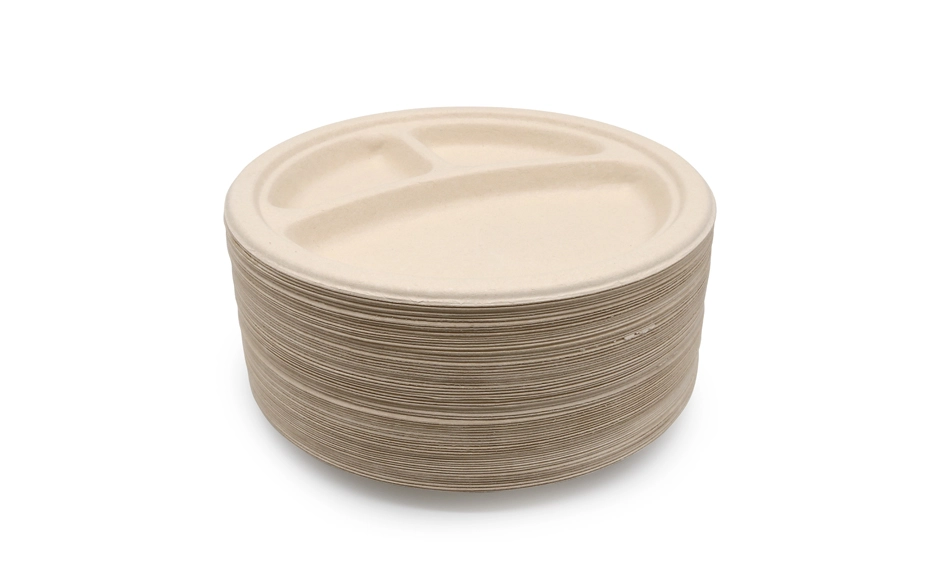 bagasse disposable plate
