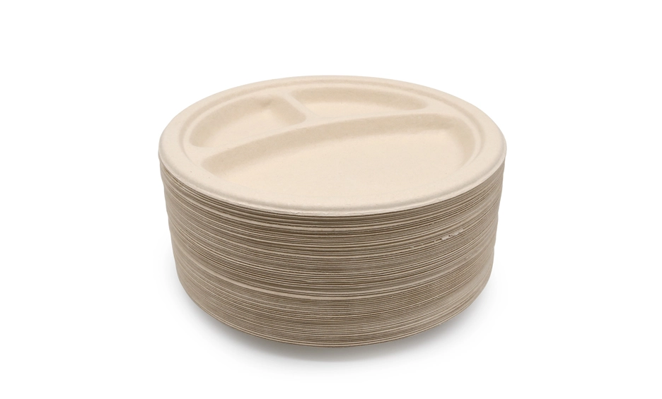 bagasse disposable plate
