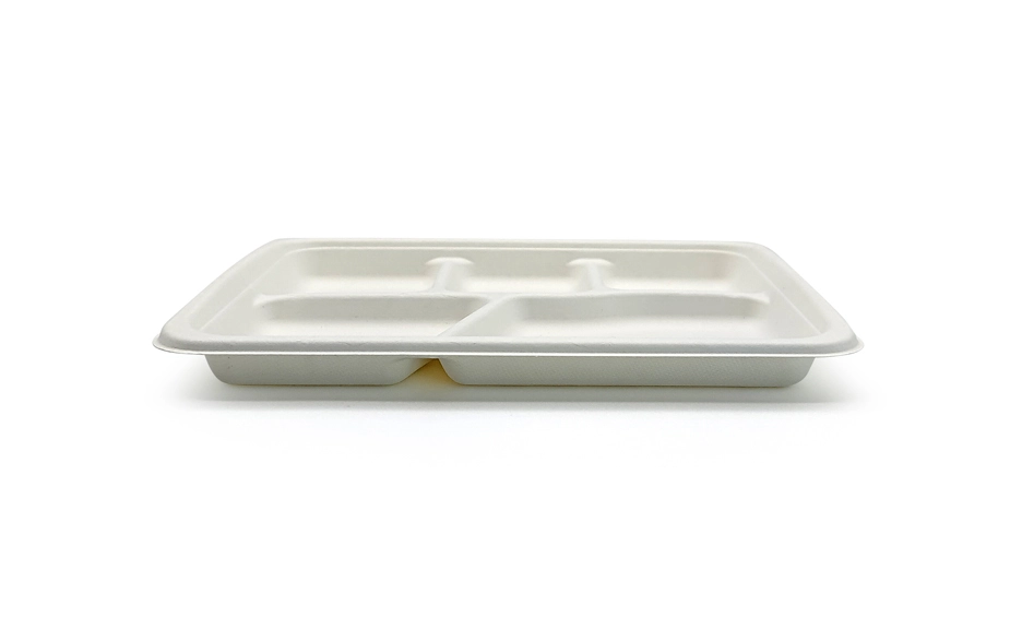 bagasse fiber tray
