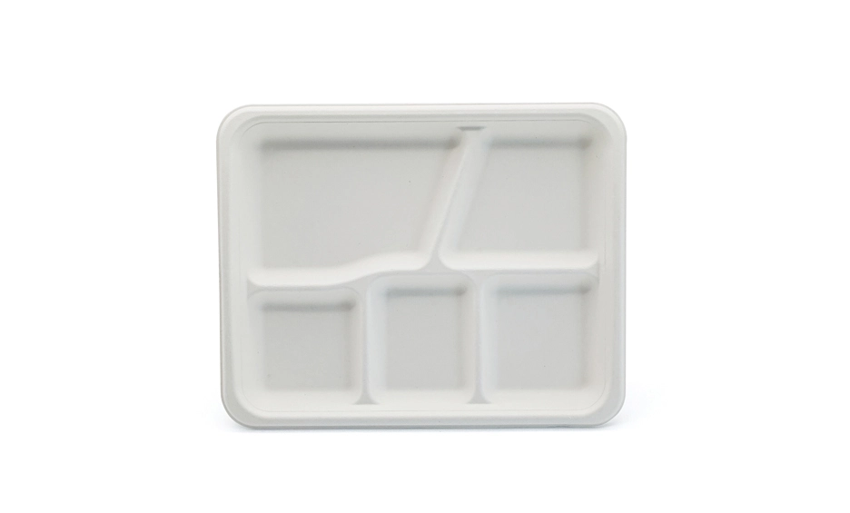 bagasse pulp tray