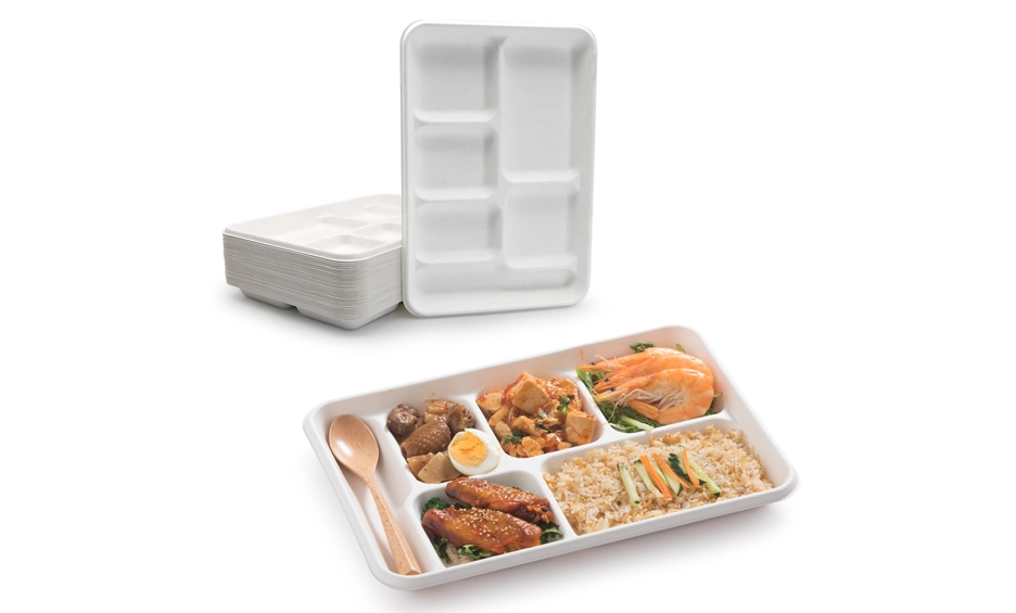 eco friendly disposable trays
