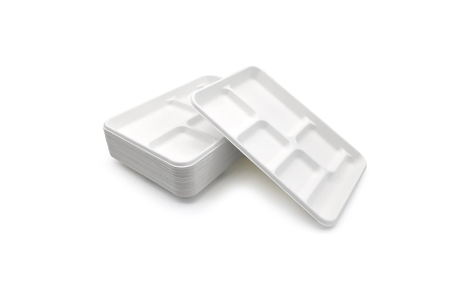 biodegradable lunch trays
