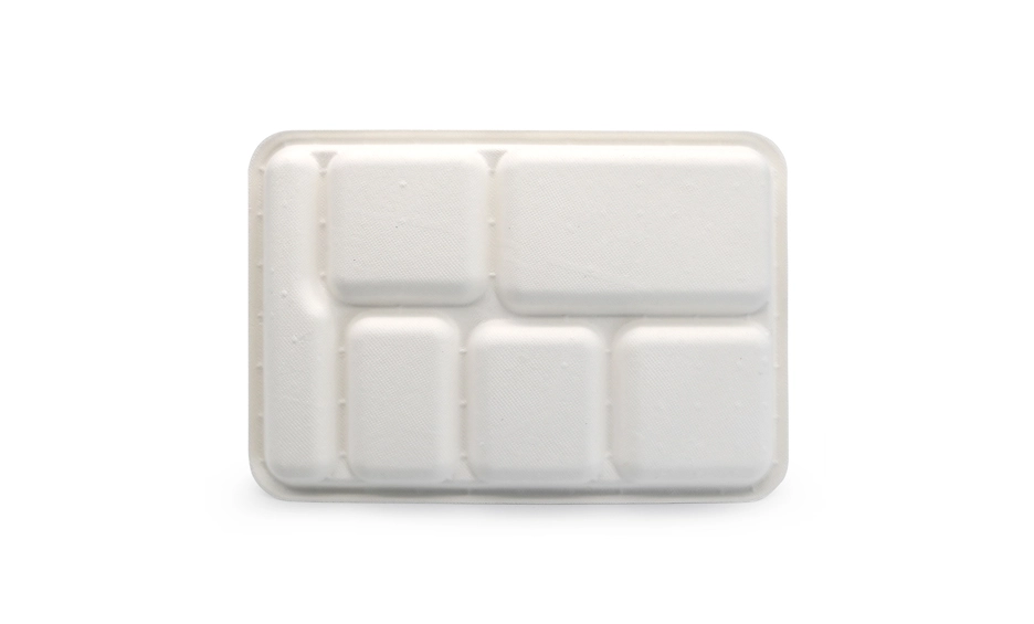 disposable lunch trays
