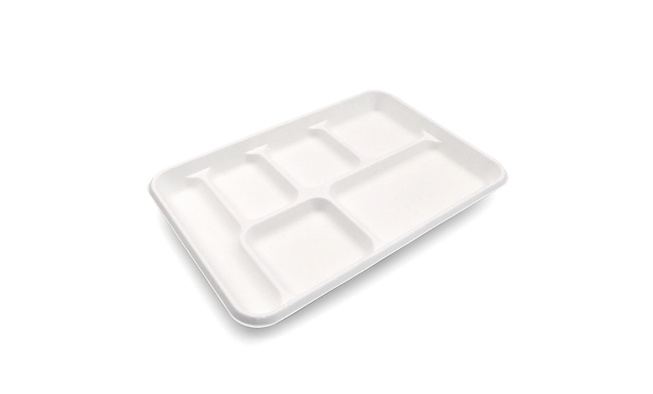 6 compartment food tray
