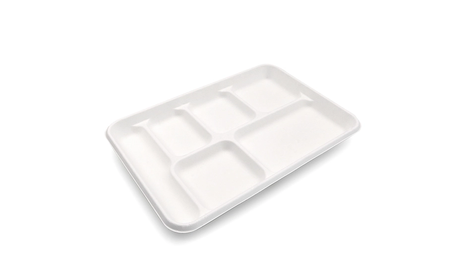 6 compartment food tray
