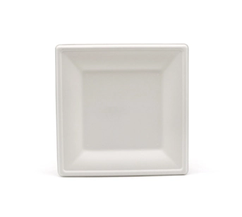 6inch 8inch 10inch Sustainable Takeaway Microwavable Freezer Safe Sugarcane Disposable Snack Square Plate