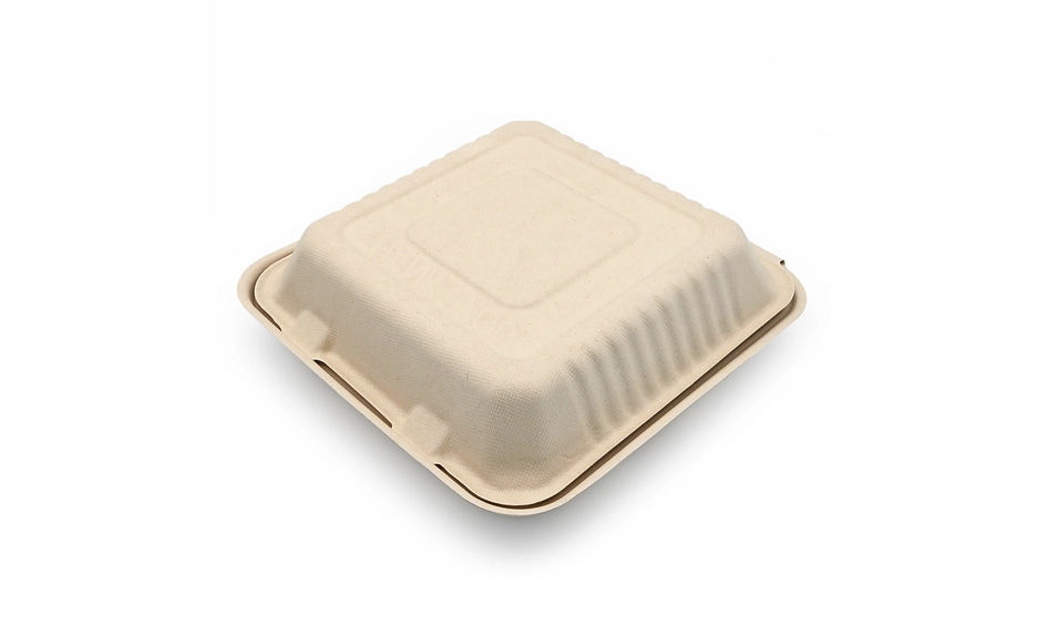 lunch box bagasse
