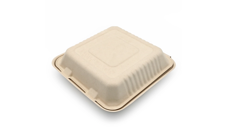 lunch box bagasse
