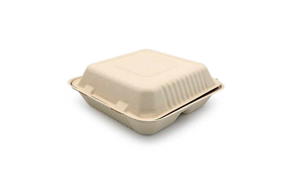 bagasse lunch box
