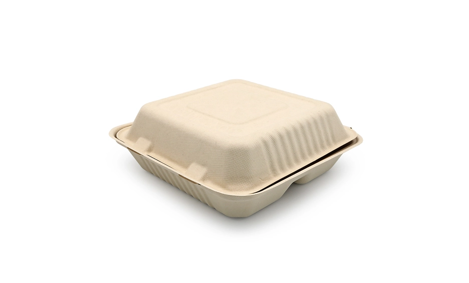 bagasse lunch box
