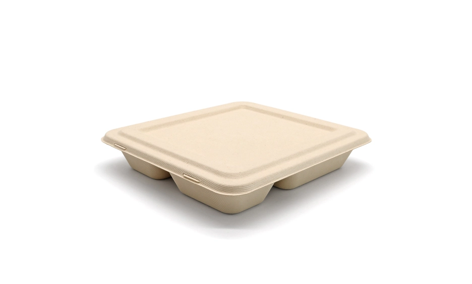 bagasse food tray supplier