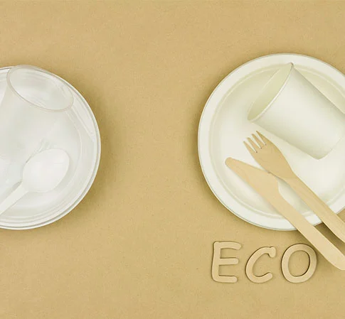 Compostable Tableware for Consumer