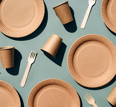 Compostable Tableware Used In Restaurant