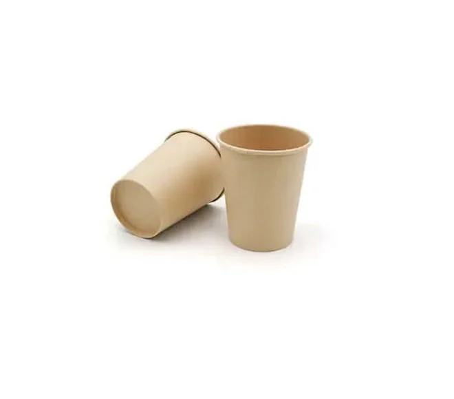 9 oz biodegradable cups