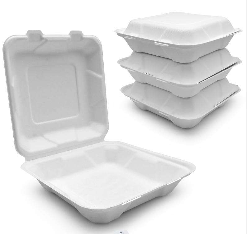 bagasse box