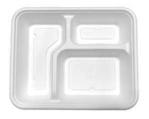 bagasse trays