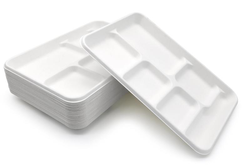 biodegradable sugarcane trays