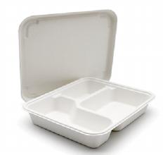 compartment trays disposable