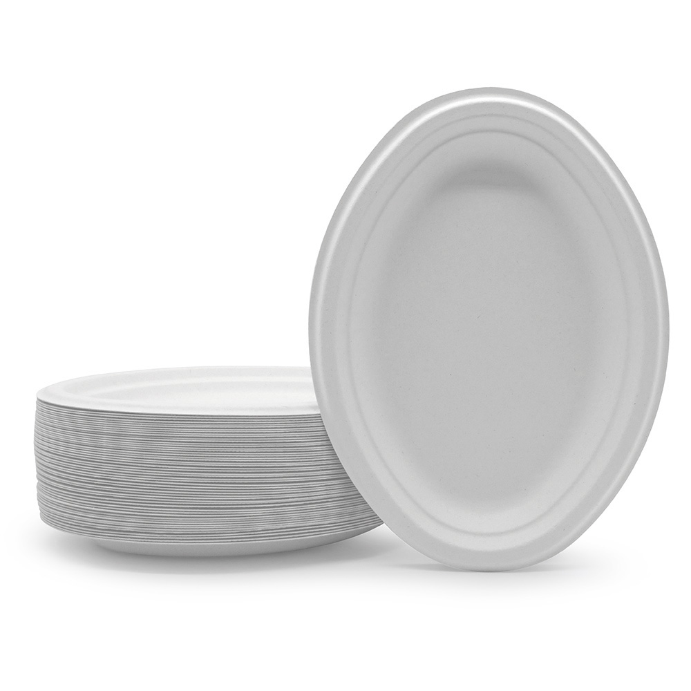 compostable christmas plates