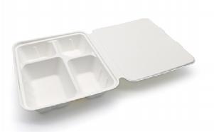 4 compartment tray with lid