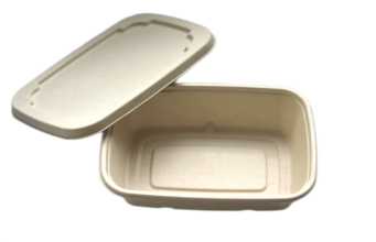 compostable salad containers