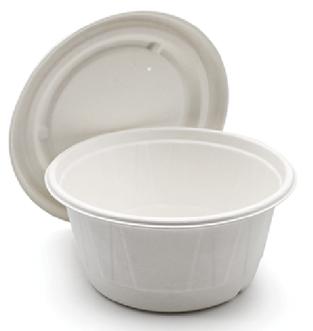 disposable bowls with lids for hot food
