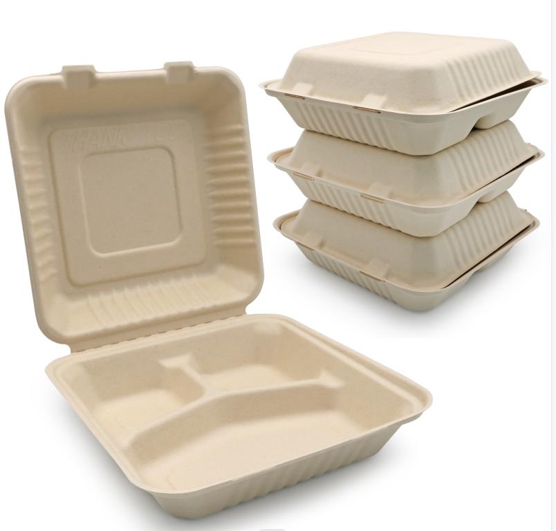 lunch box bagasse