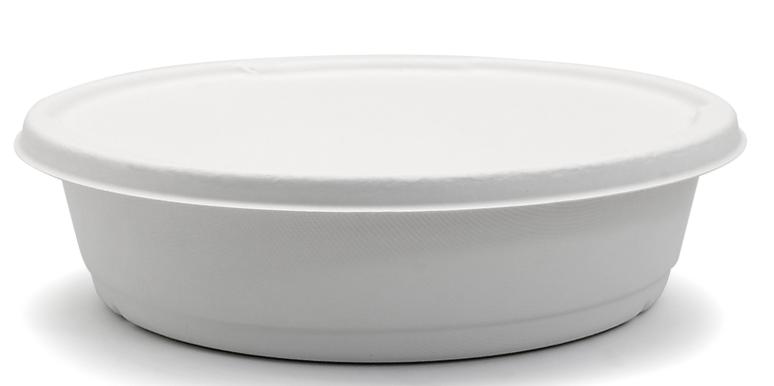 sugarcane bagasse bowl