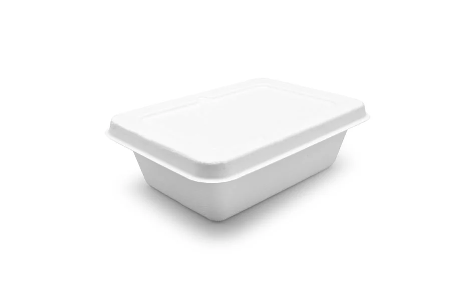 sugarcane bagasse containers
