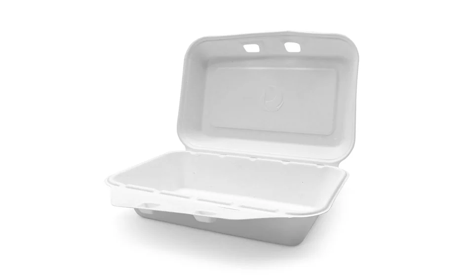 compostable bento boxes
