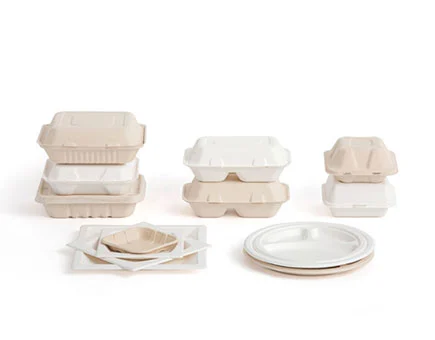 The Environmental Impact of Disposable Plastic Tableware