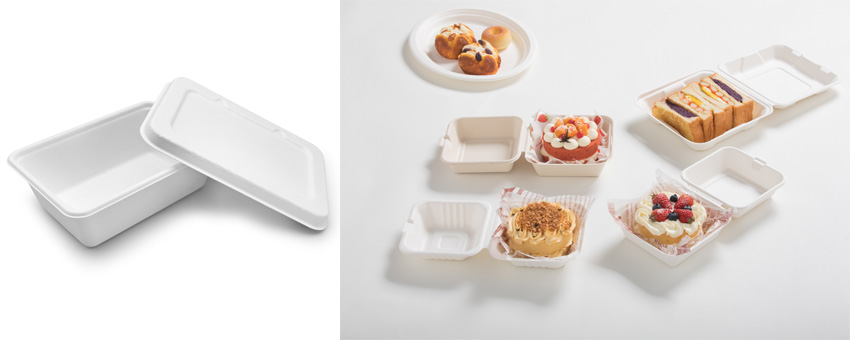 Embrace Sustainability with Wholesale Bagasse Cutlery: A Win for Business and the Planet