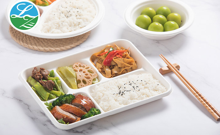 Green Future: The Importance of Wholesale Biodegradable Takeout Containers