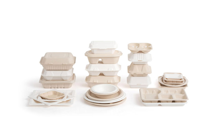 Green Future: The Importance of Wholesale Biodegradable Takeout Containers