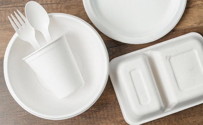 Green Future: The Importance of Wholesale Biodegradable Takeout Containers