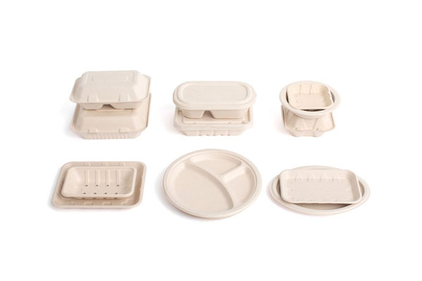 biodegradable_take_away_food_packaging.jpg