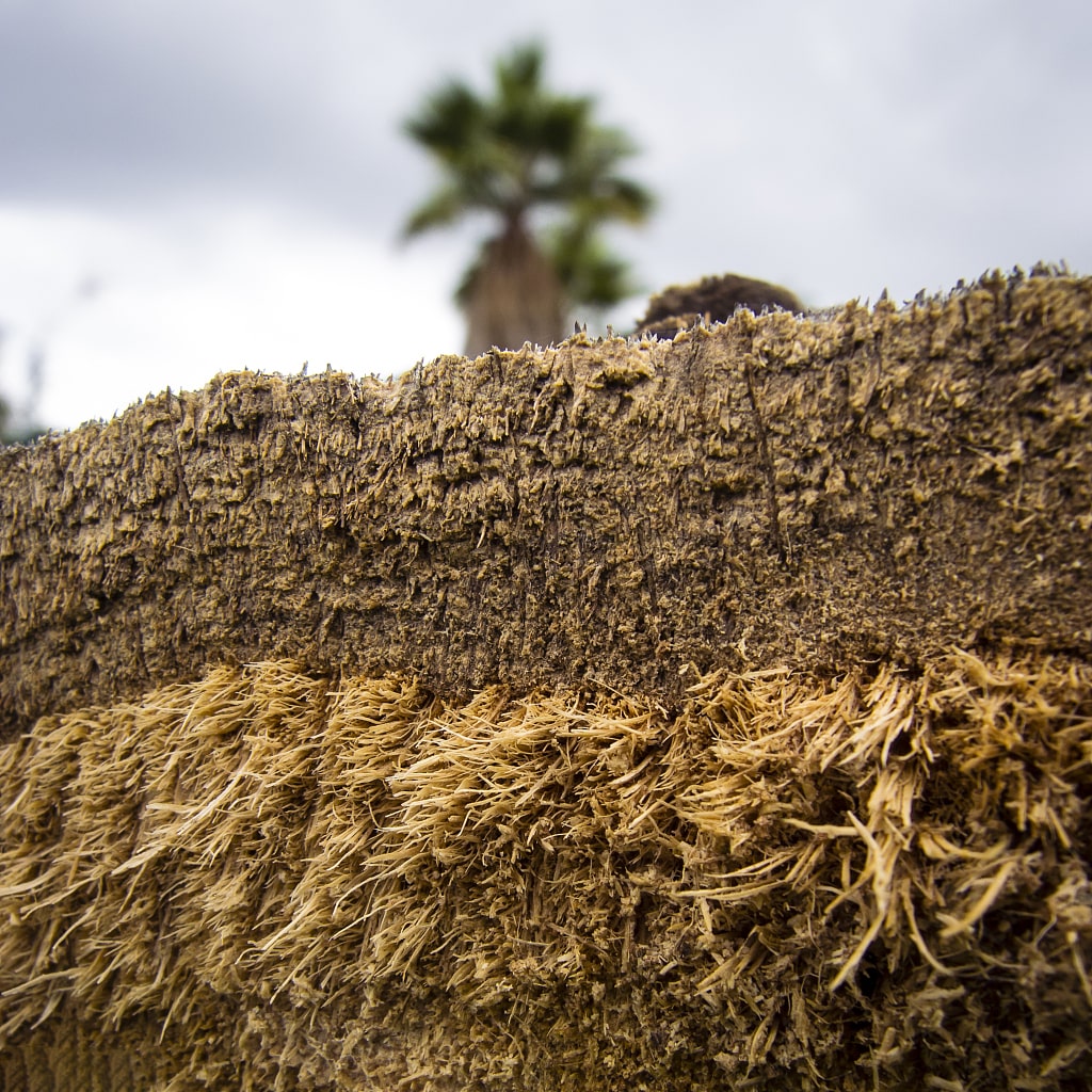 Bagasse_Pulp_Board.jpg