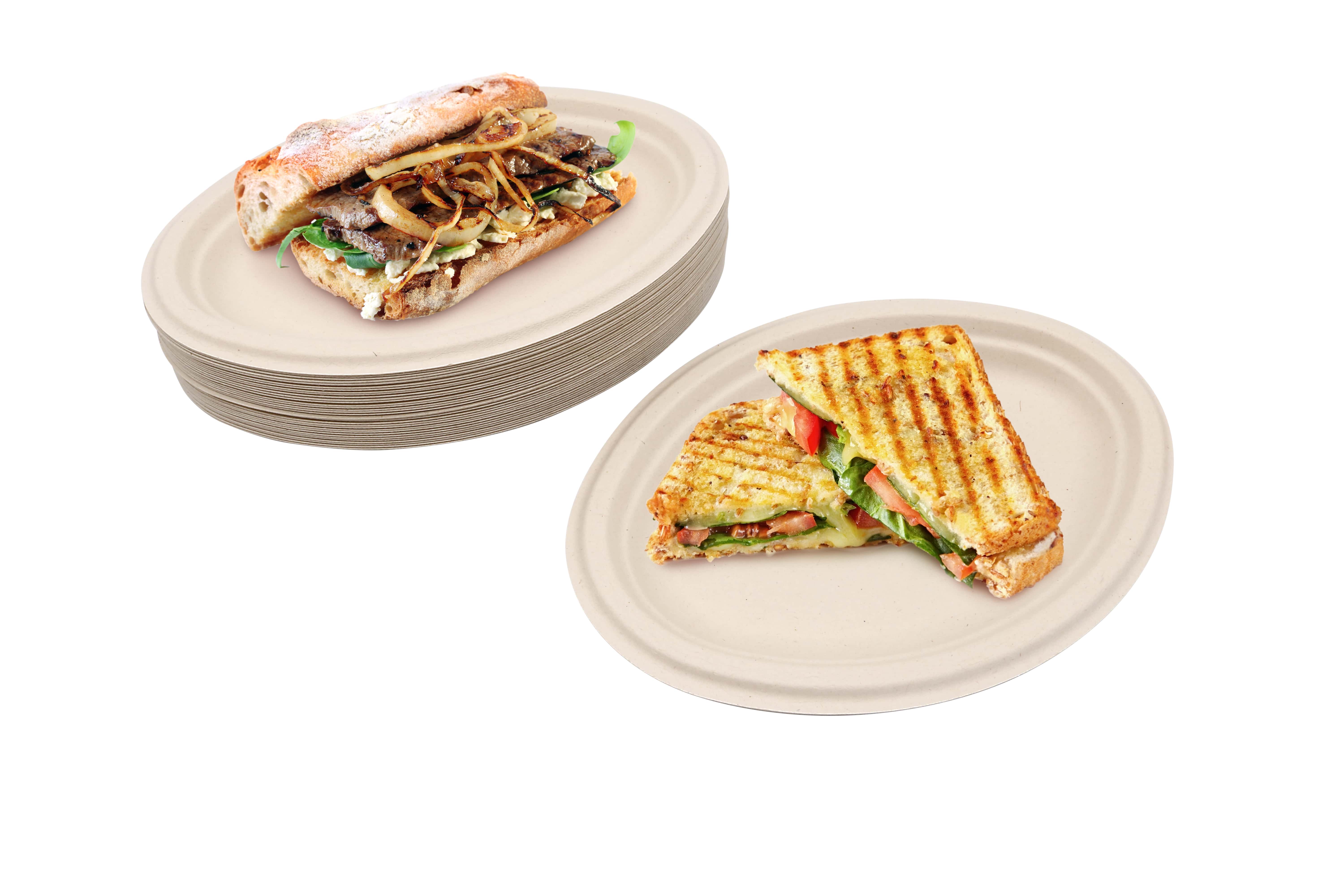 disposable_sandwich_trays.jpg