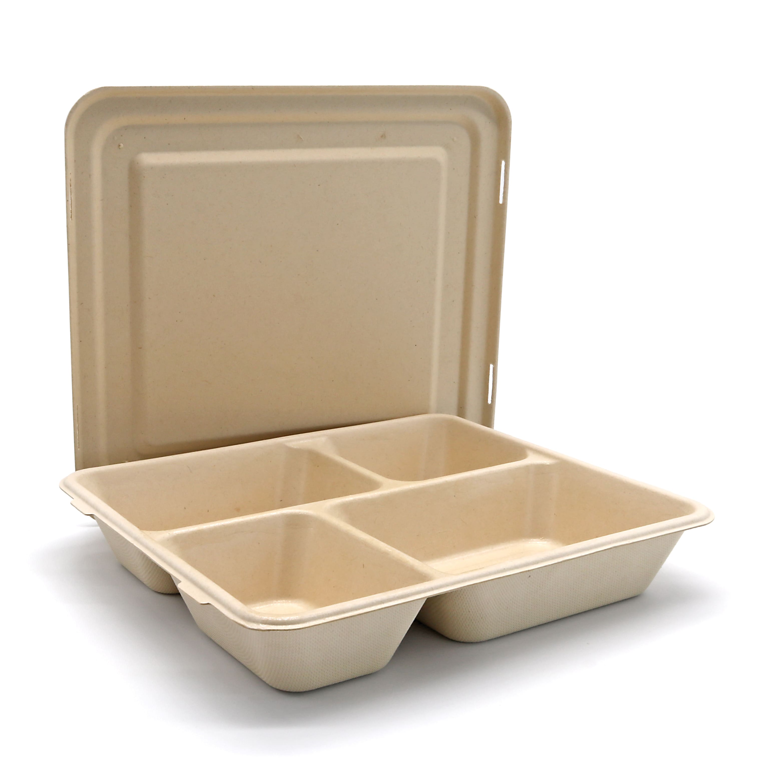 4_Compartment_Tray.JPG