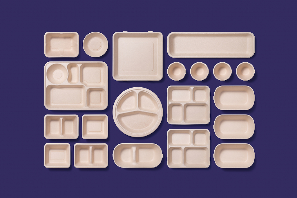 Compartment_trays_of_different_sizes.jpg