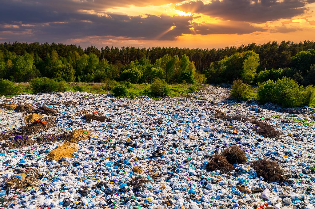 plastic_pollution.jpg