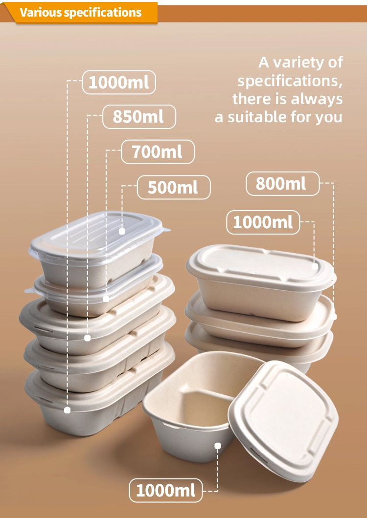 Ecologically Enlightened: Unveiling the Wholesale World of Biodegradable Food Containers