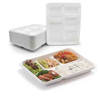 5 Compartment Disposable Lunch Tray Sugarcane Bagasse Fiber Sustainable Portable Oil Proof Wholesale To Go