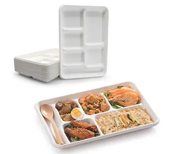 6 Compartment biodegradable Lunch Tray for school Freezer Safe Fiber Pulp Eco-friendly Renewable Heat Resistant